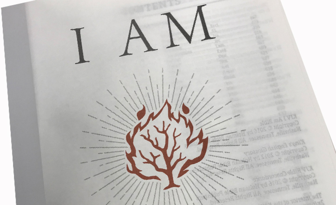 The _I AM Bible_