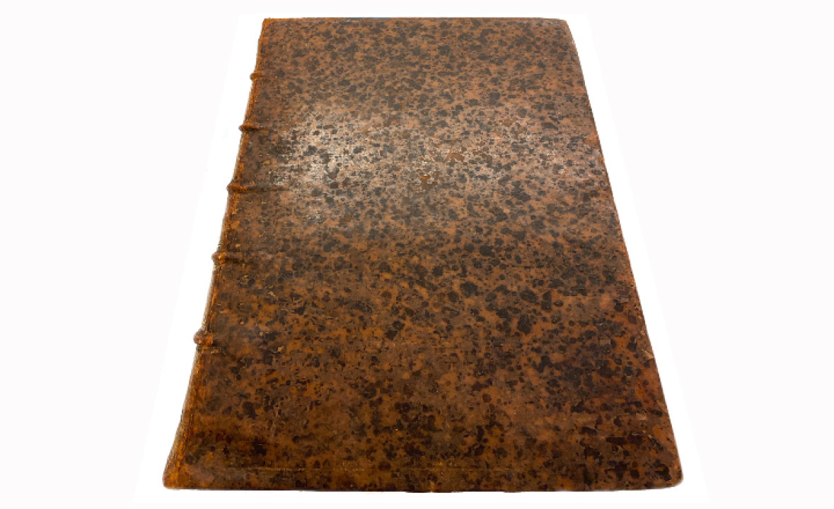 Reina–Valera Bible