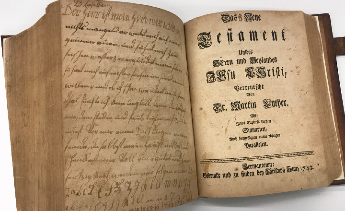 The Saur Bible, First Edition