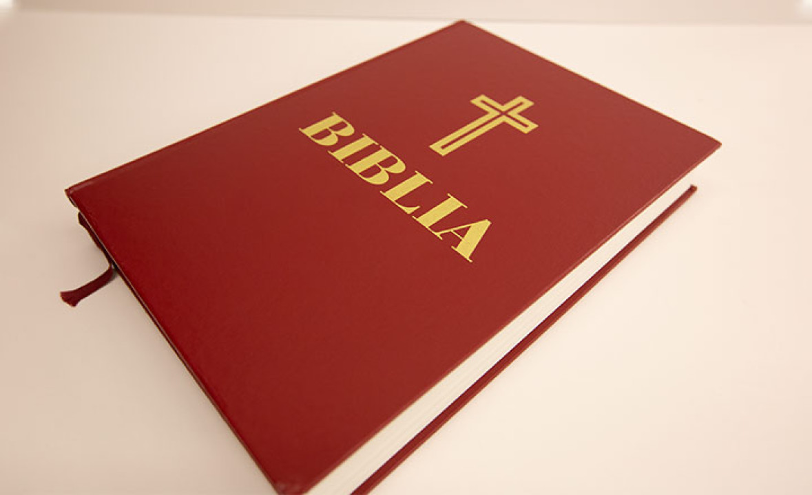 The Bible in Romanian