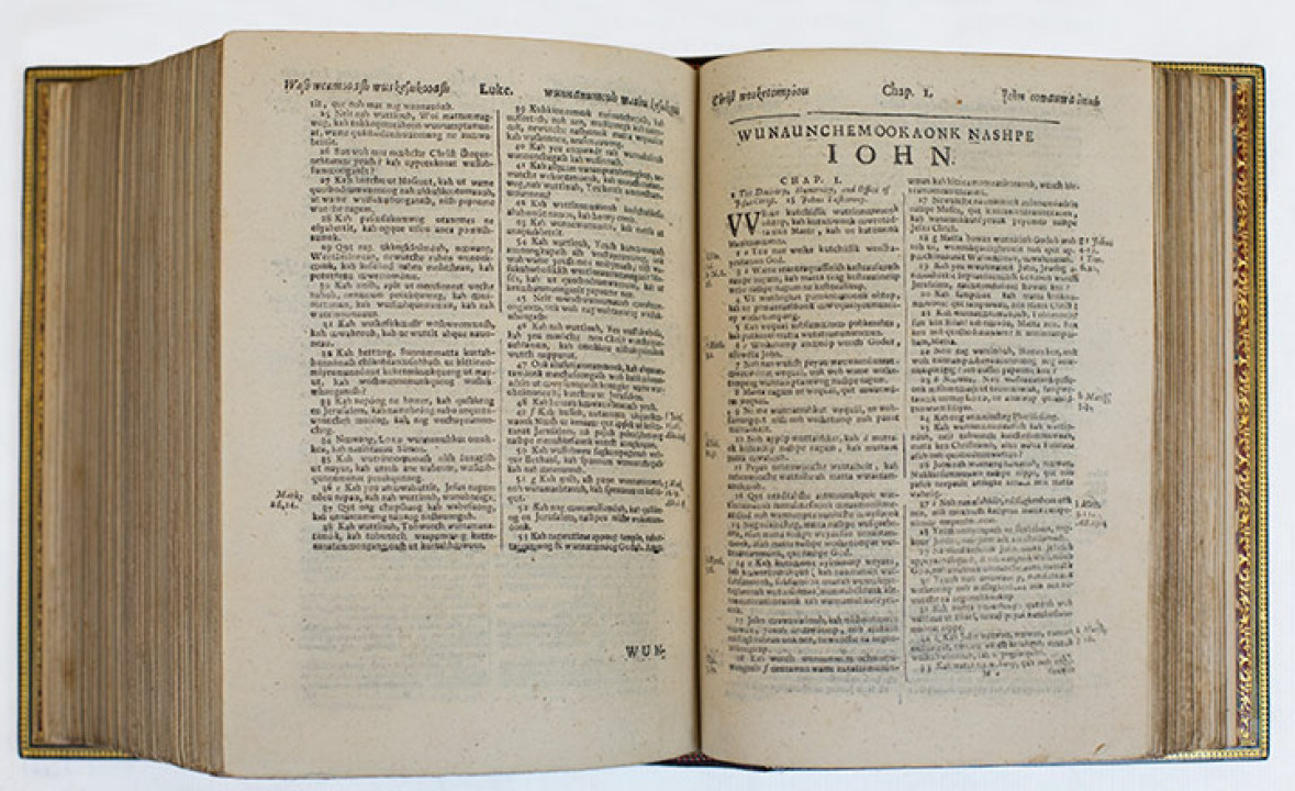The Indian Bible