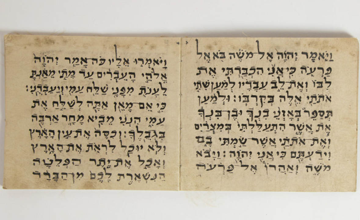 Parashat “Bo” from Kaifeng, China