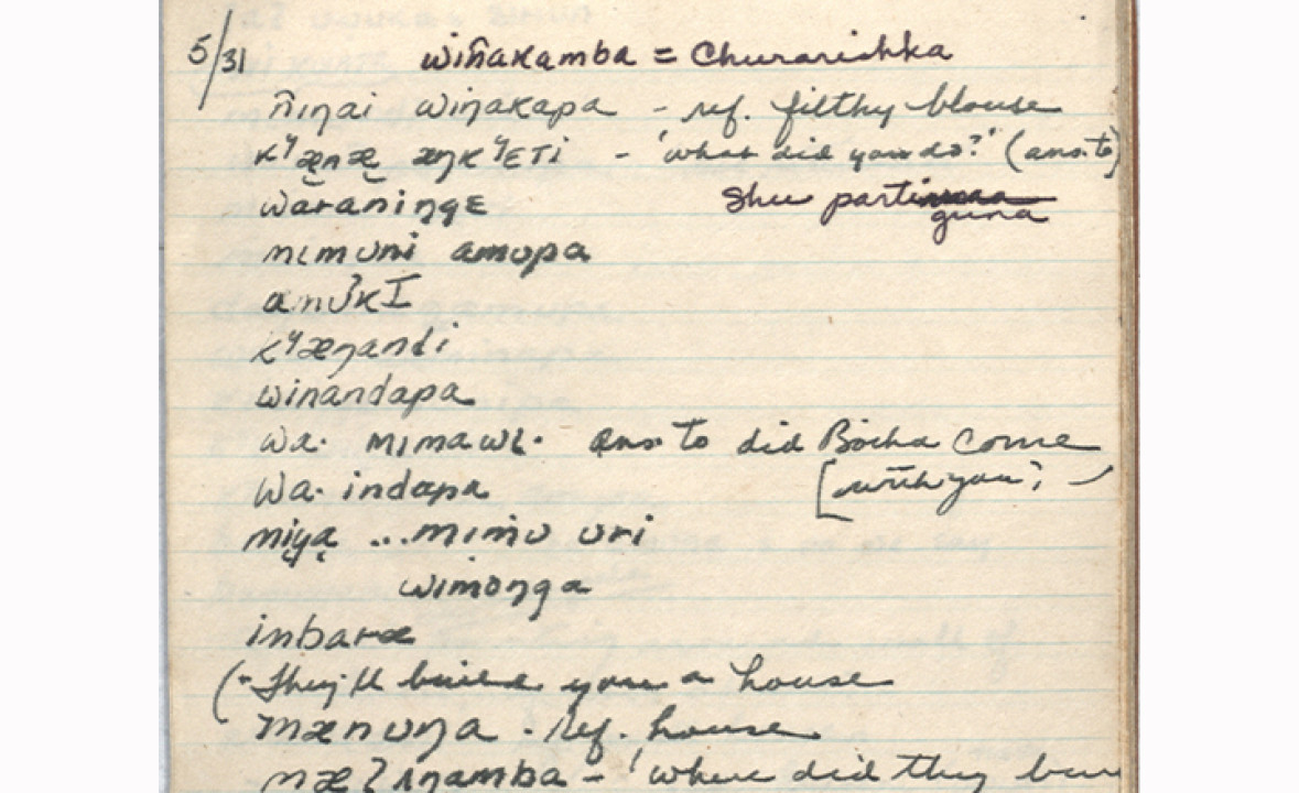 Waodäni Language Notebook VIII