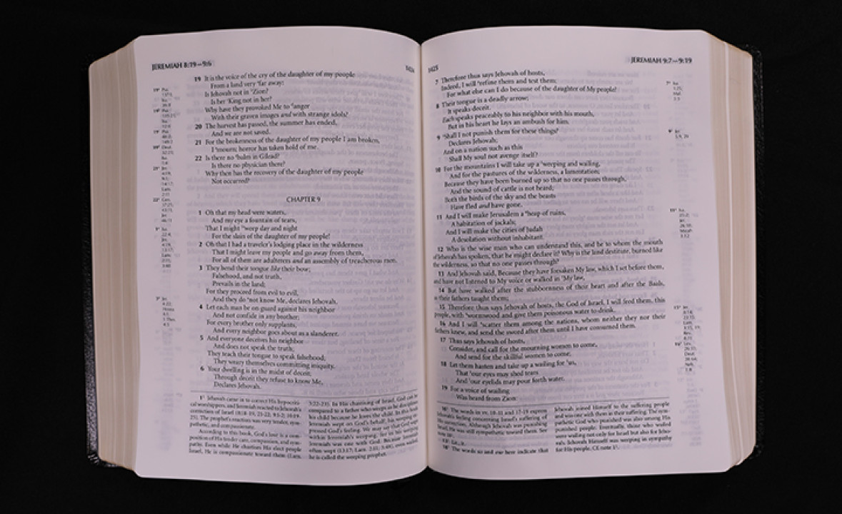 The Holy Bible (Recovery Version)