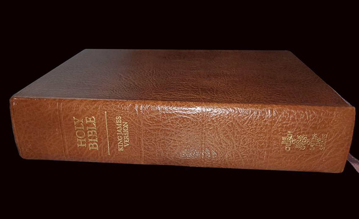 Holy Bible (LDS KJV)