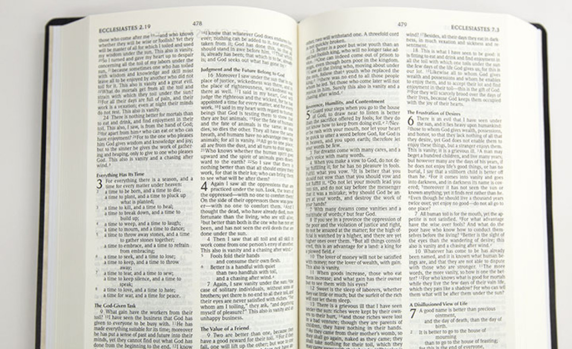 The Holy Bible, New Revised Standard Version