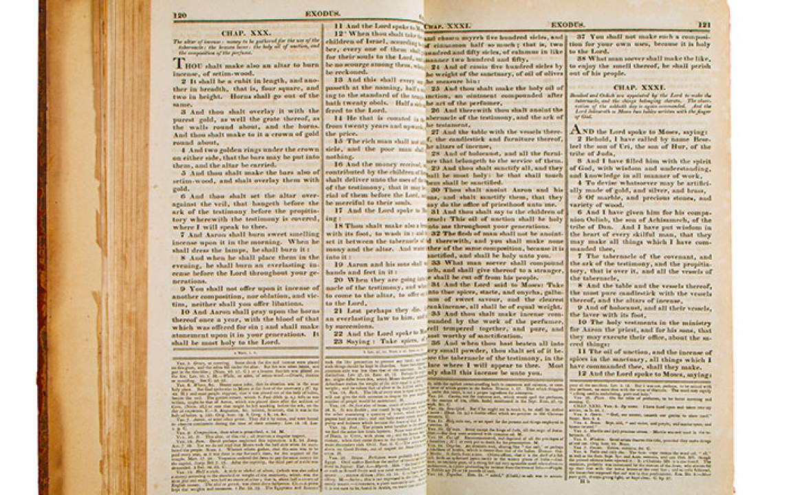 Haydock Bible, Volume 2