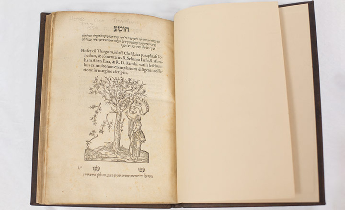 Minor Prophets with Rabbinic Commentary