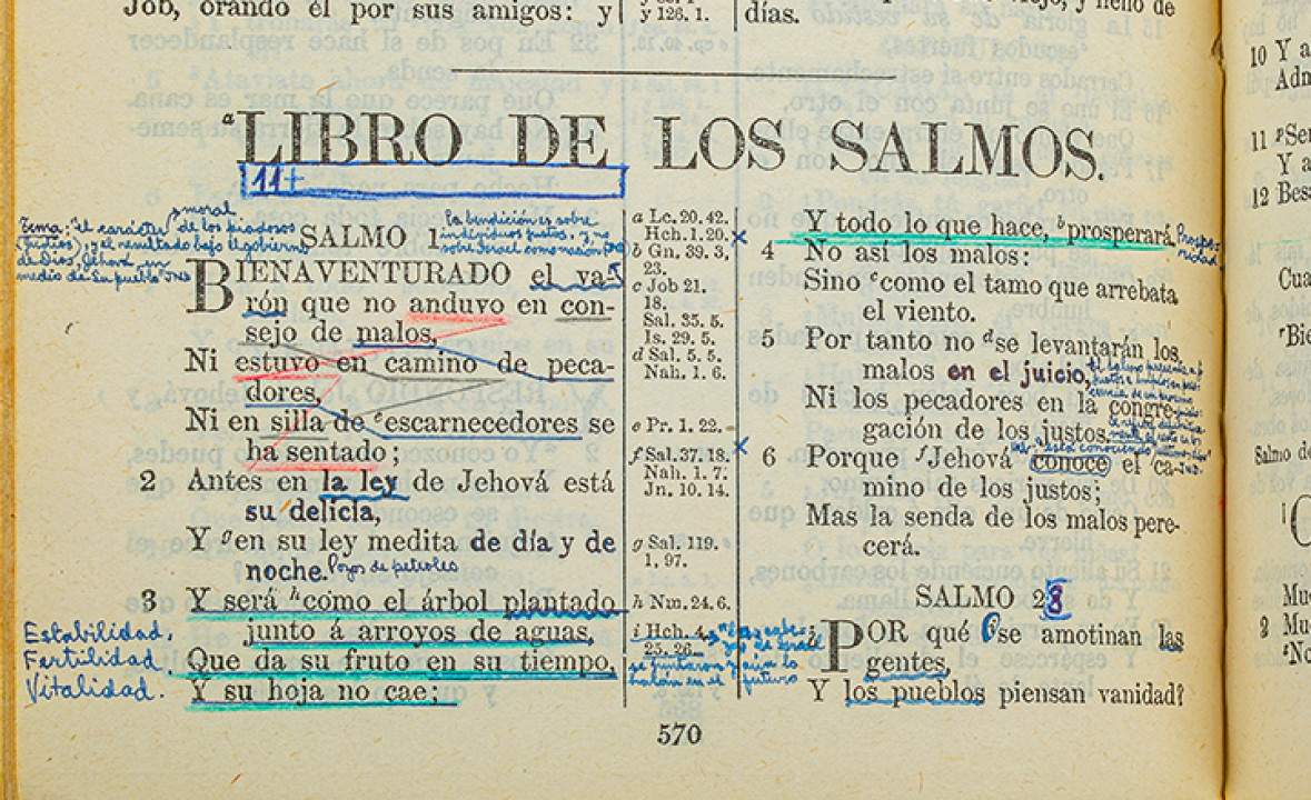 The Luis Palau Bible