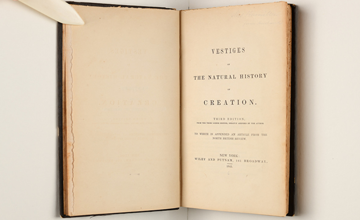 _Vestiges of the Natural History of Creation_