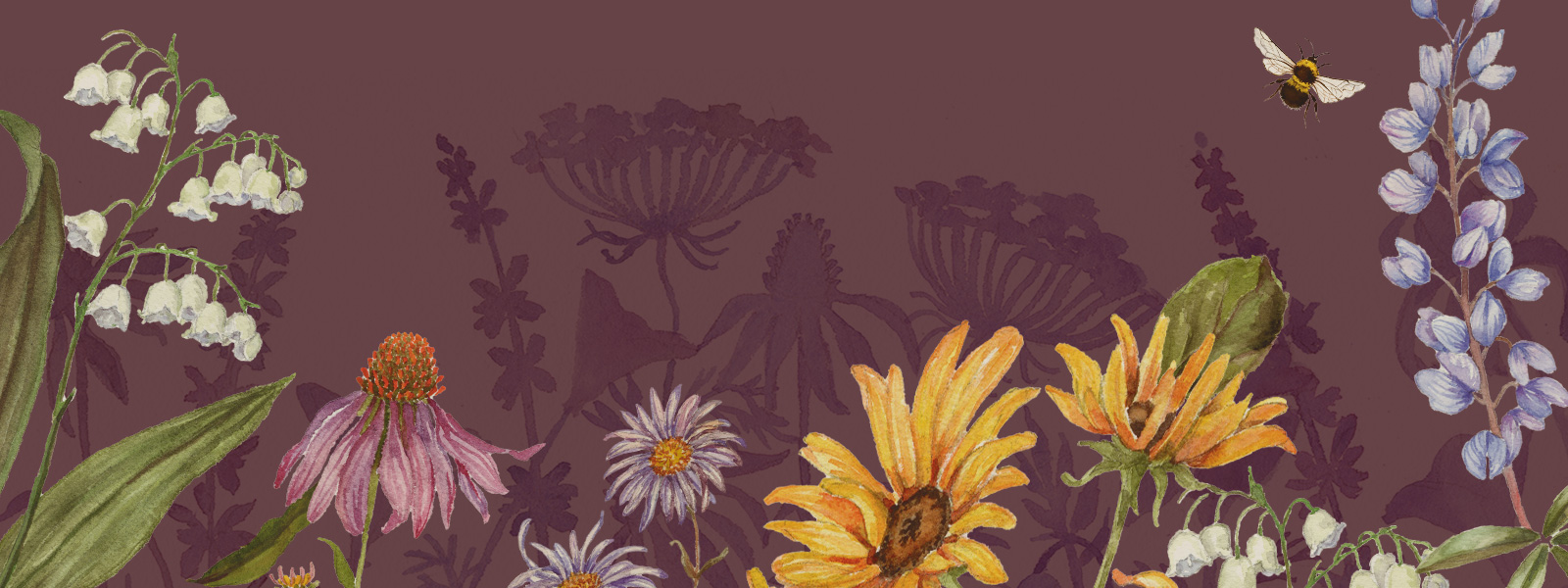 Way of the Wildflower: Book Tour